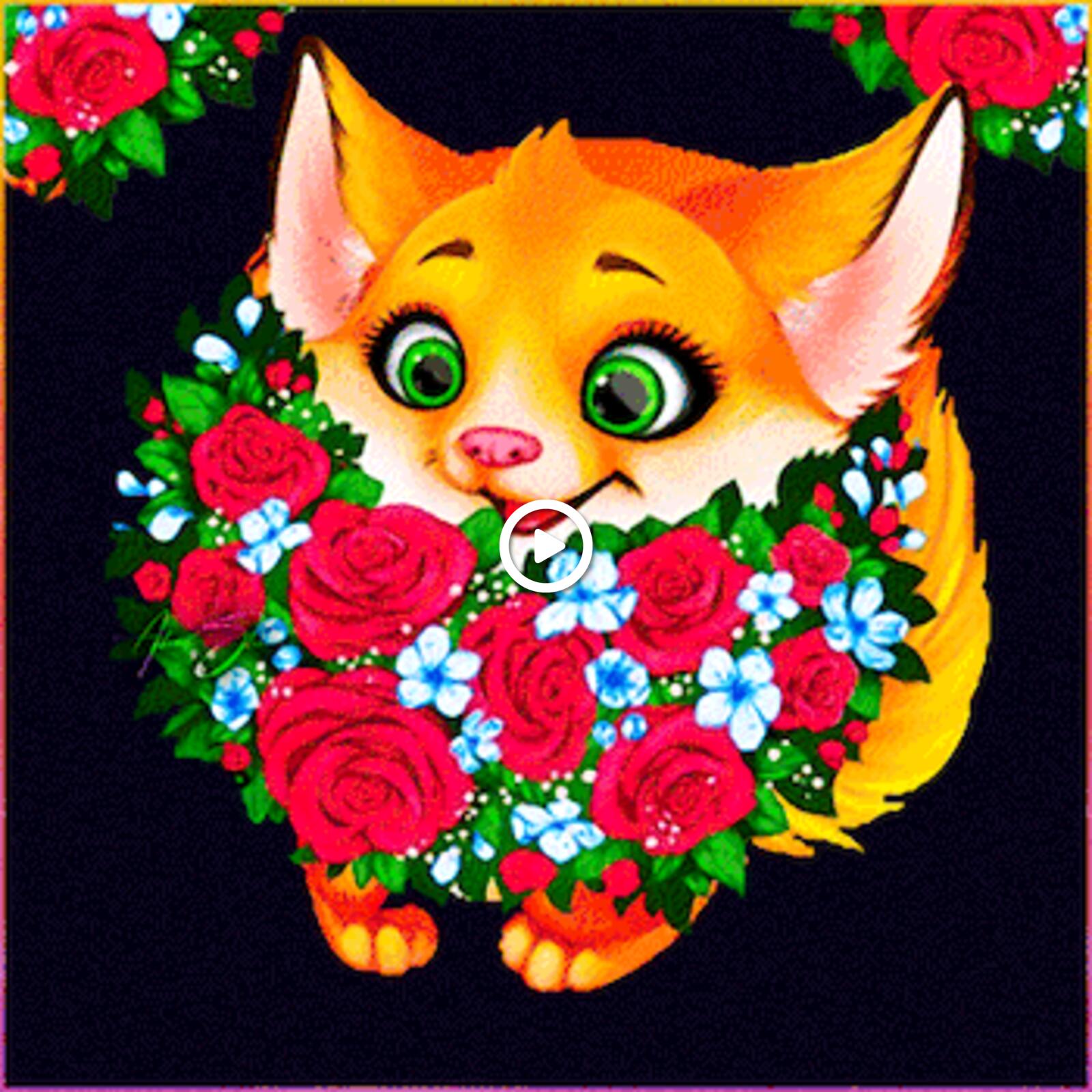 kit fox roses flowers
