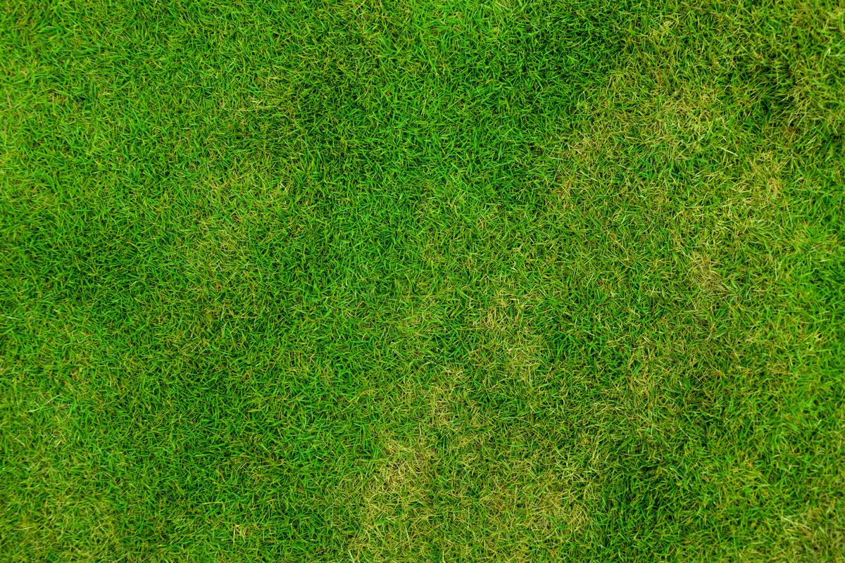 Green lawn view from the top