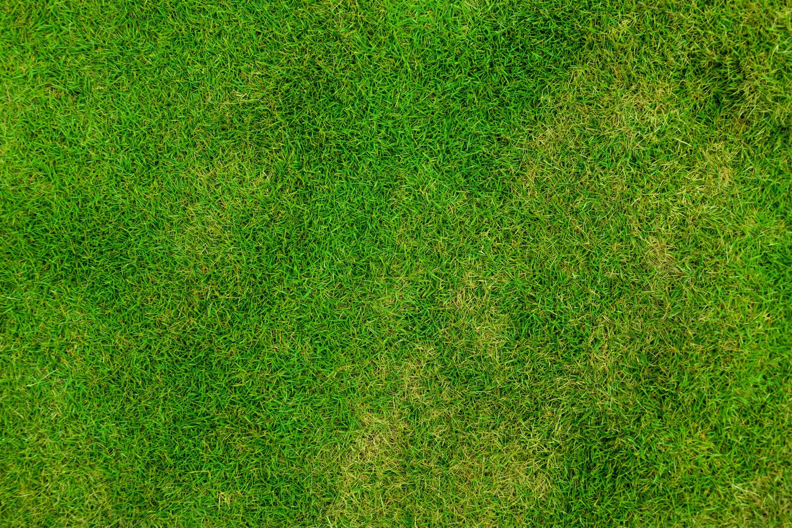 Бесплатное фото Зеленый газон вид с верху