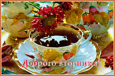 Postcard free saucer, cuppa, asters