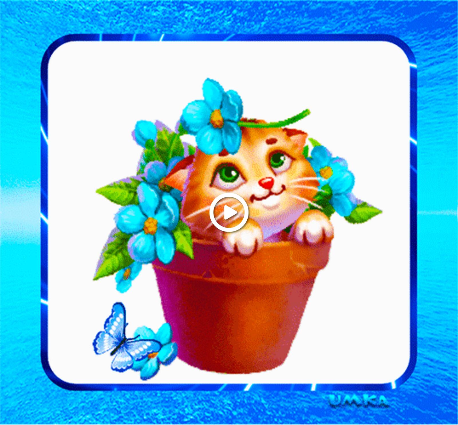 A postcard on the subject of joy kitten flowers for free