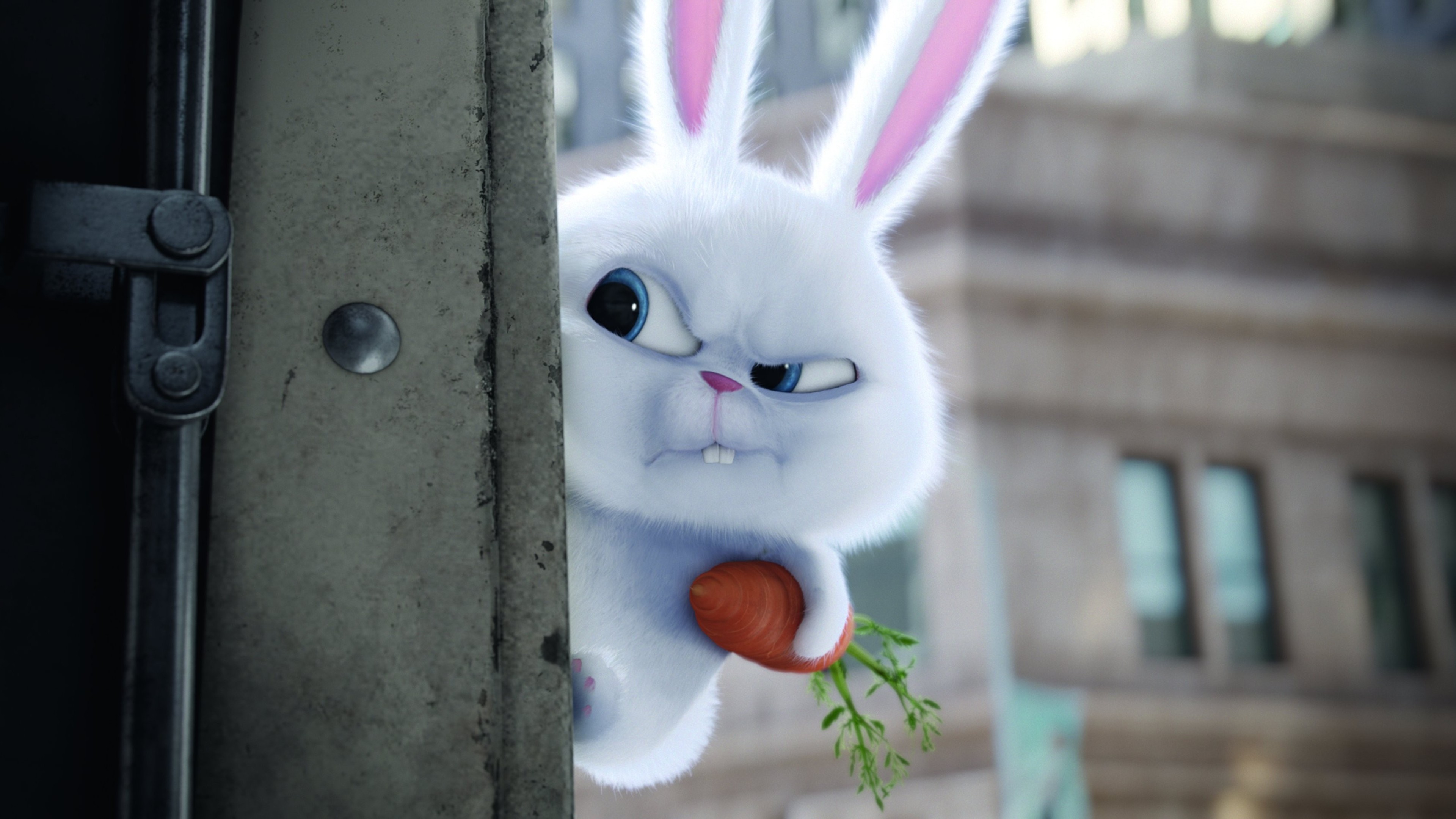 Обои Тайная жизнь домашних животных морковка фильмы на рабочий стол