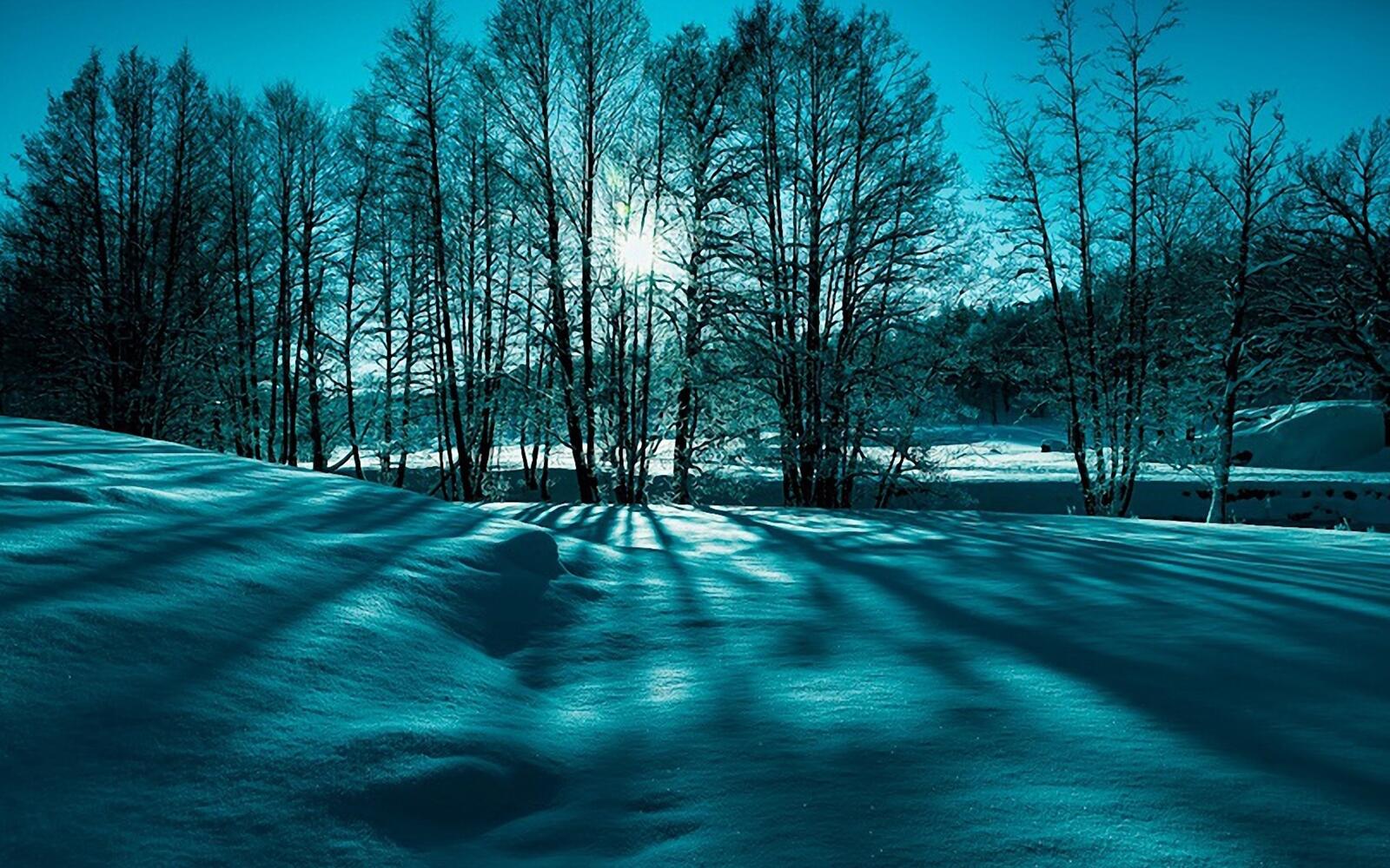 Бесплатное фото Зимний вечер