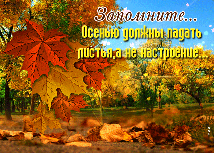Postcard free a fantastic one about the beginning of fall, leaf fall, park