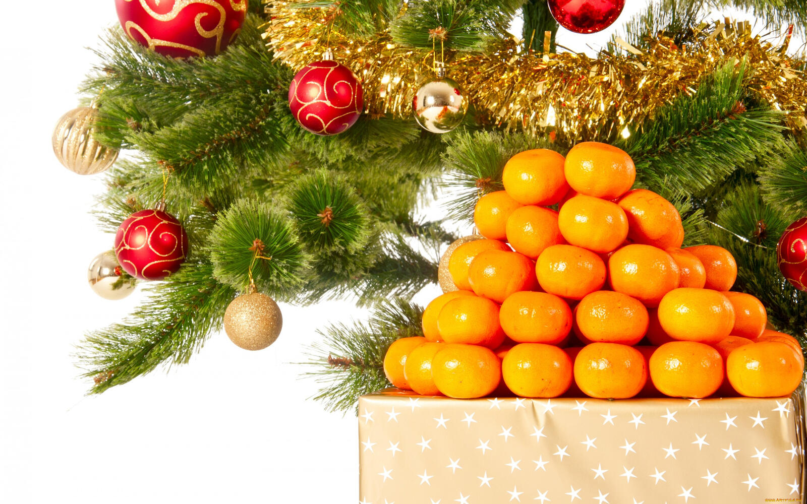 Обои мандарины еда новогодняя елка на рабочий стол