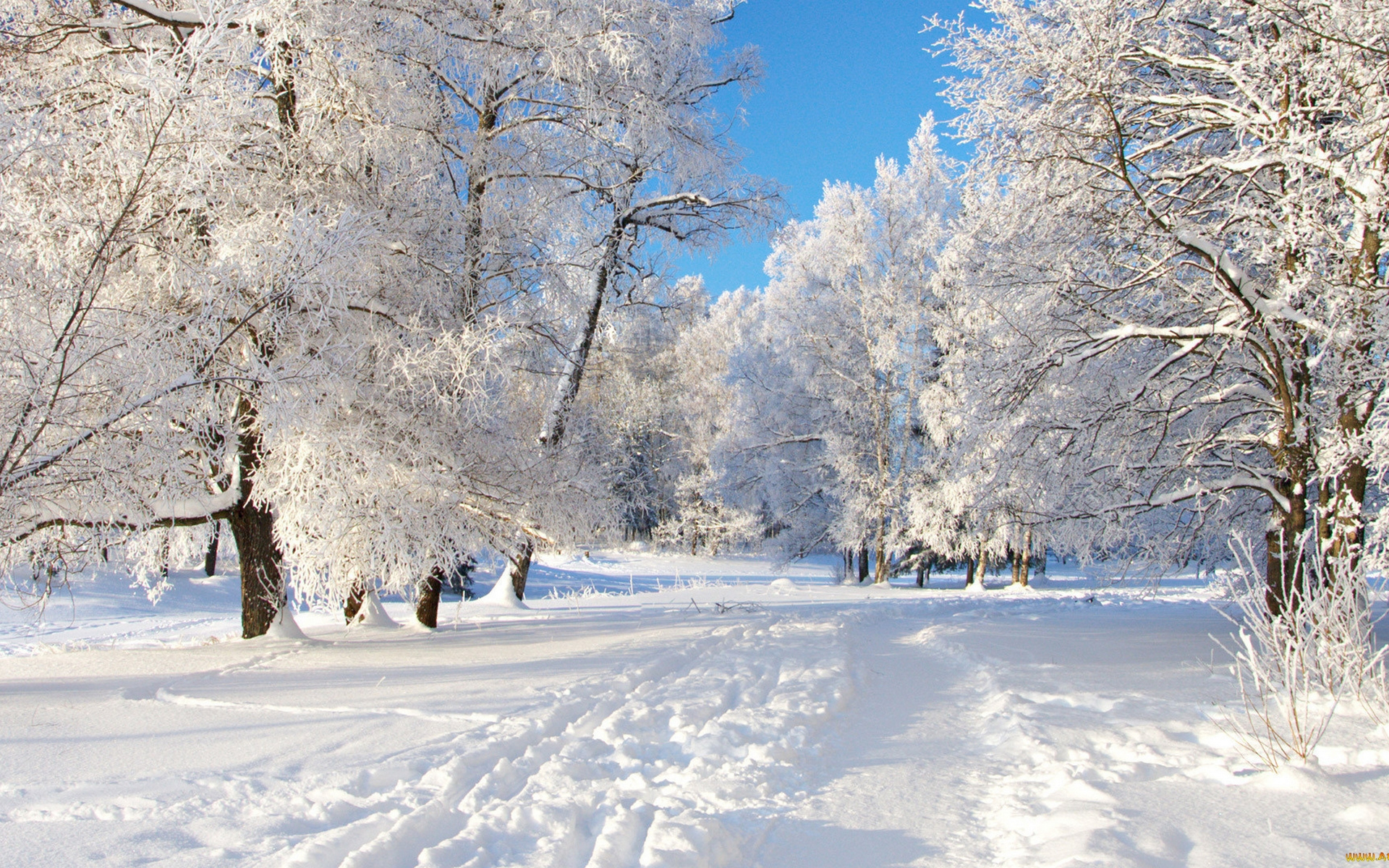 Январские сугробы. Зима. Зимняя природа. Зима пейзаж. Красивая зима.