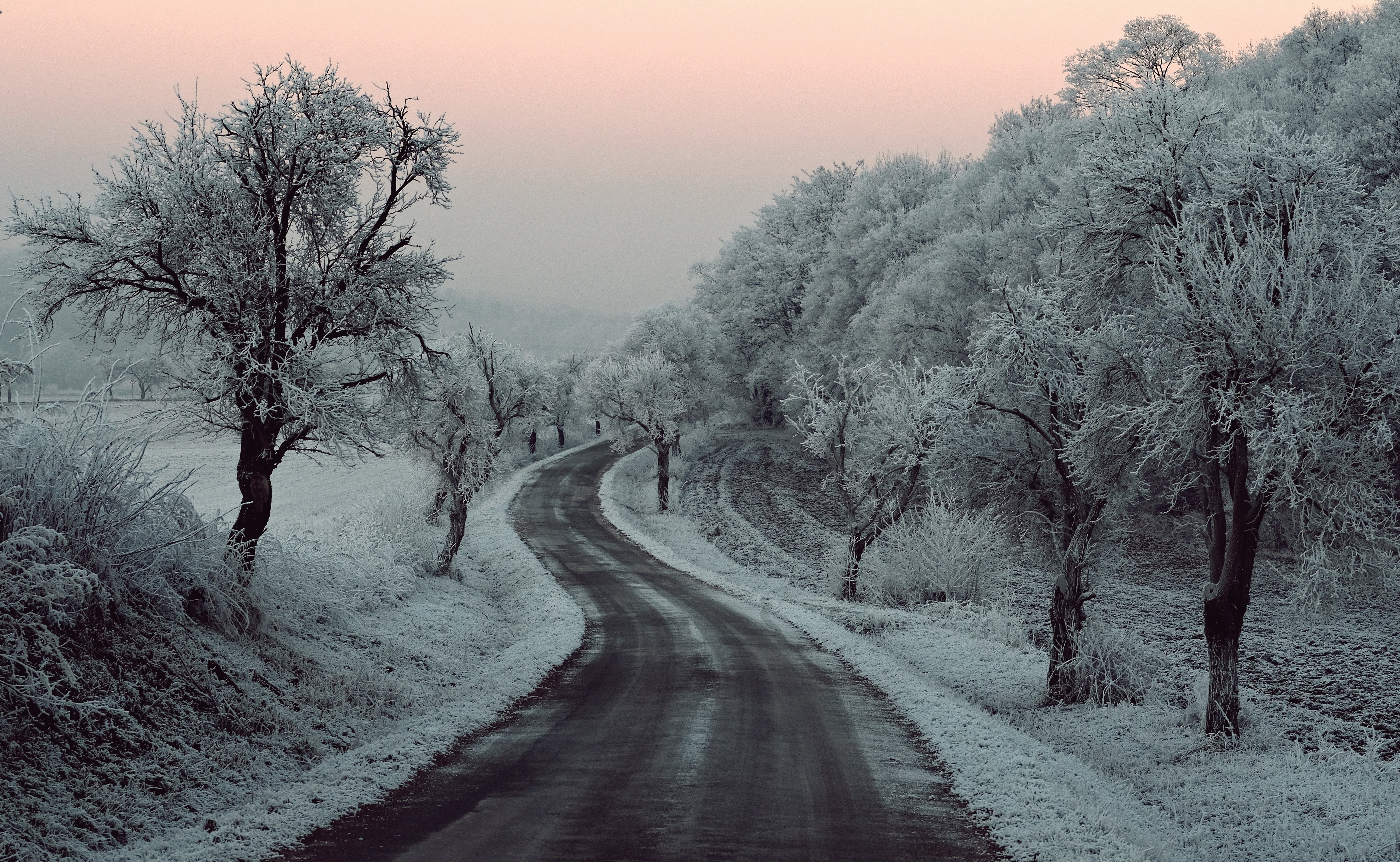 Фото бесплатно снег, снег на деревьях, снежная дорога
