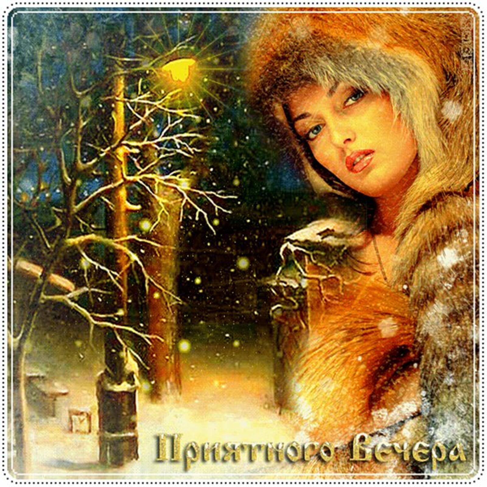 A postcard on the subject of evening have a nice evening snow for free