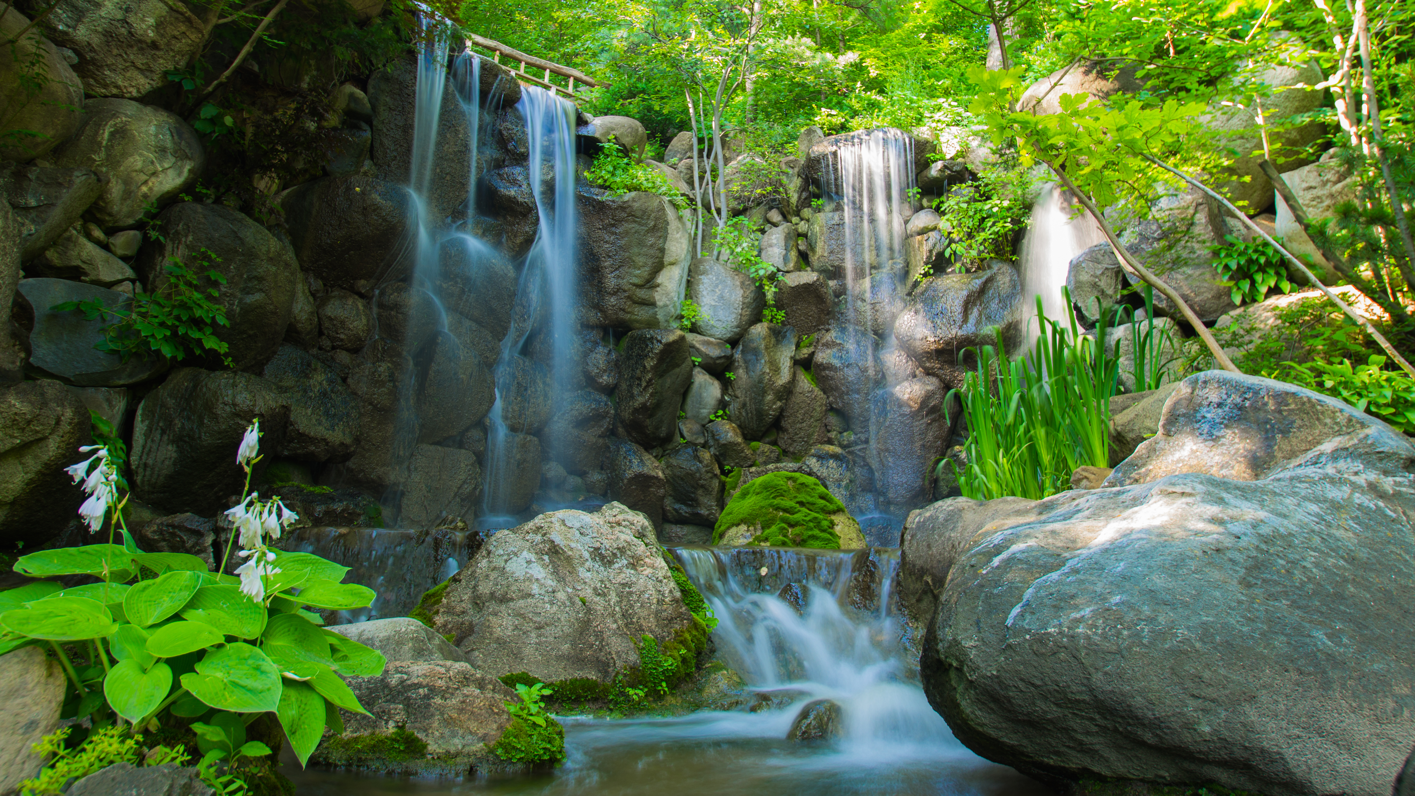 Photo free rocks, Japanese Gardens, trees