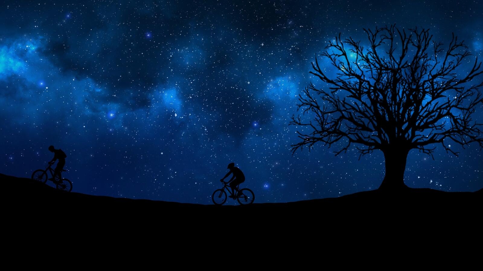 Обои cyclist starry sky silhouette на рабочий стол