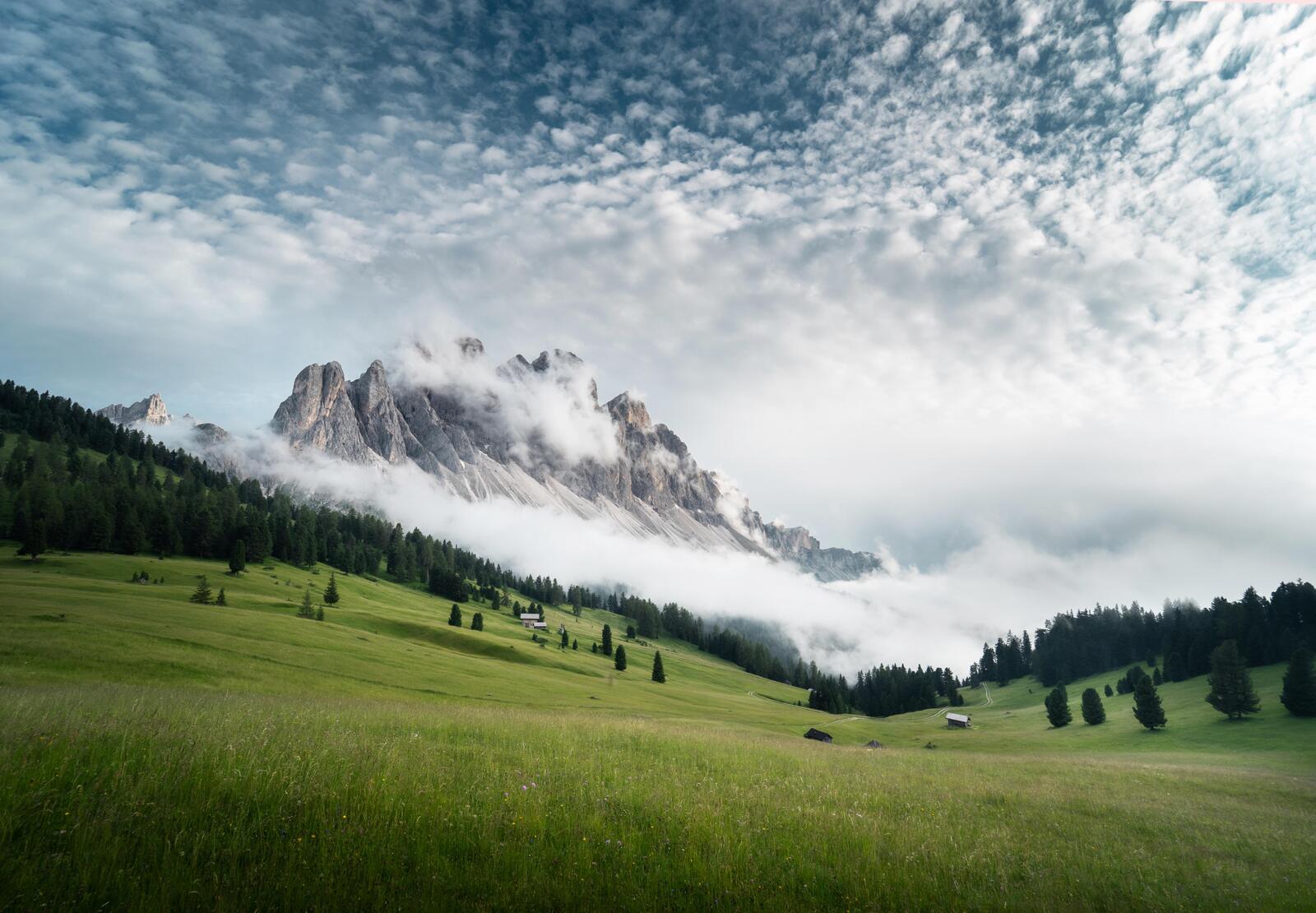 Бесплатное фото Большое поле в Италии