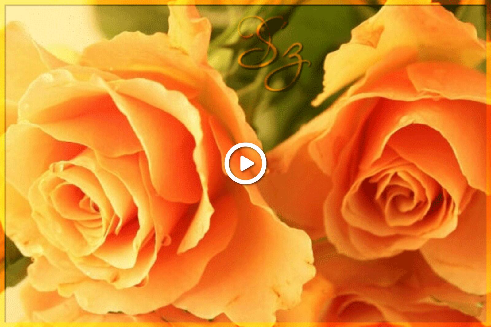 Открытка на тему розы цветы желтые розы бесплатно