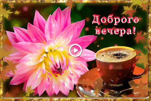 saucer coffee cup pink dahlia