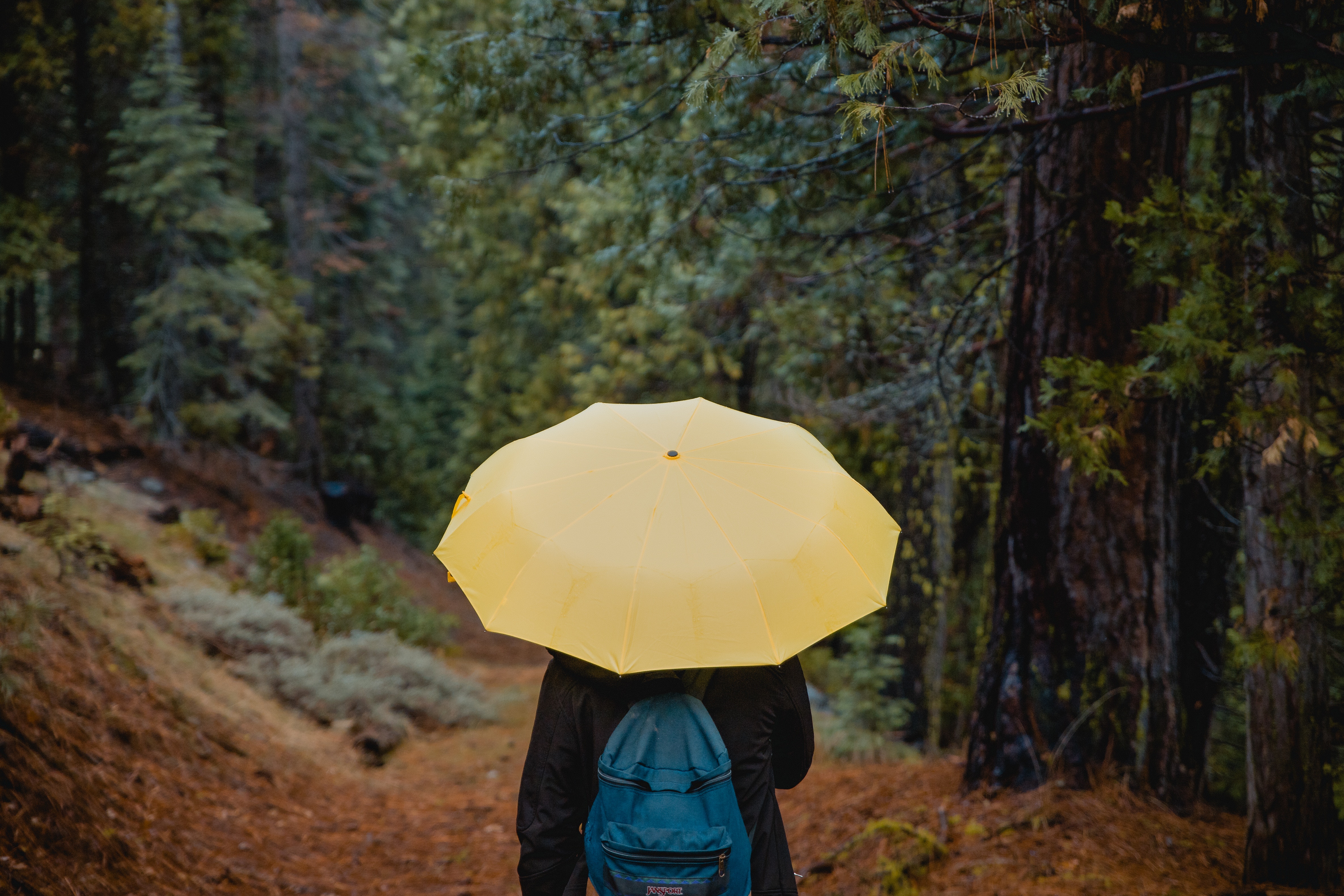 Фото бесплатно зонт, лицо, прогулка