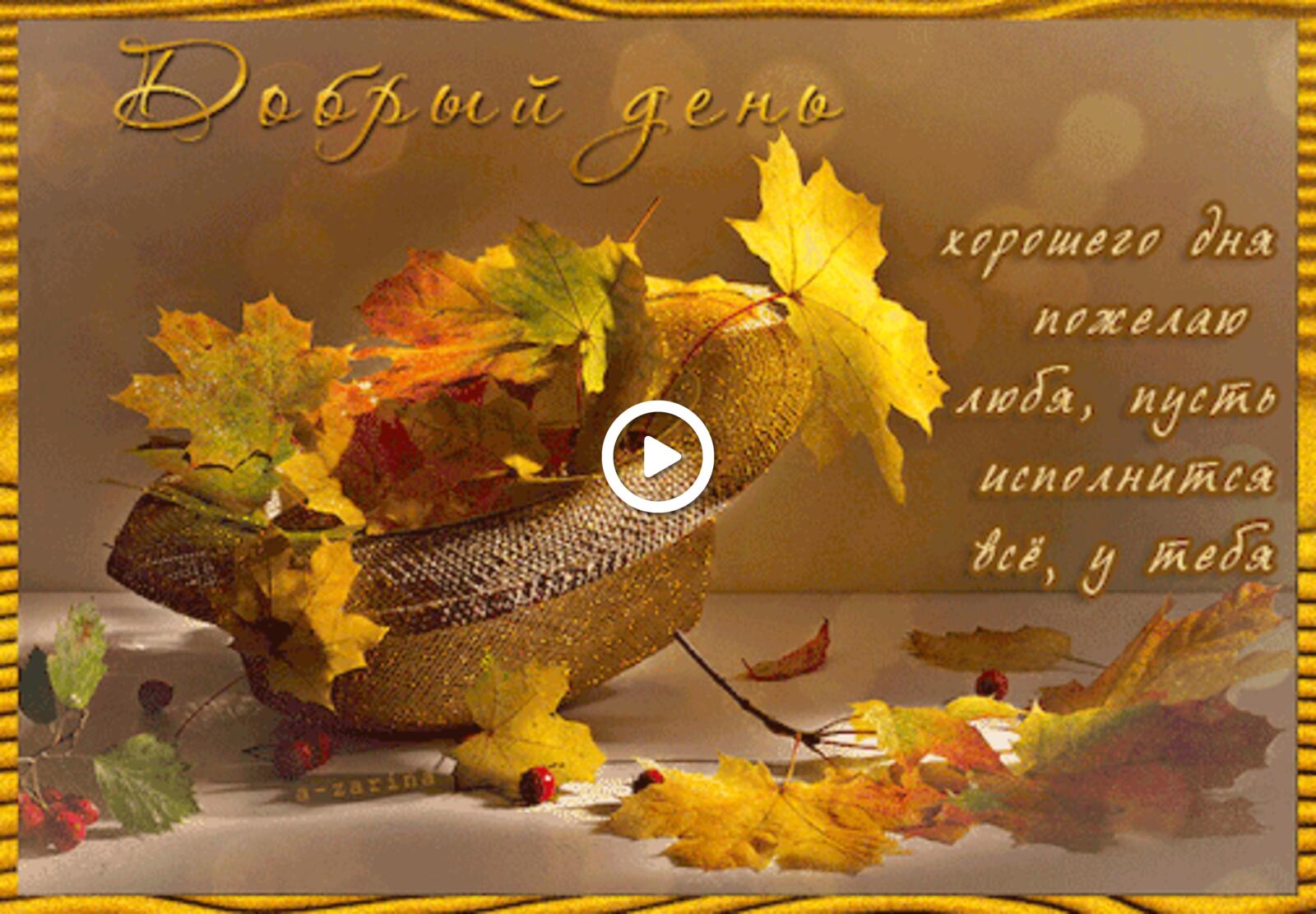 A postcard on the subject of autumn leaves good afternoon animation for free