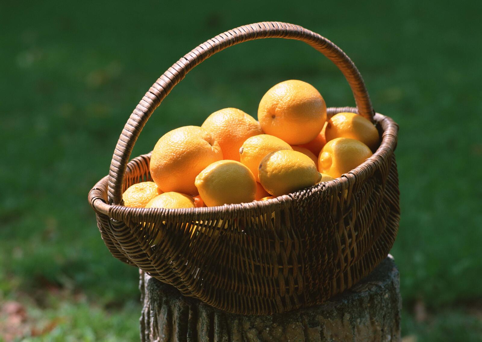 桌面上的壁纸绿色背景 柑橘类水果 栽种