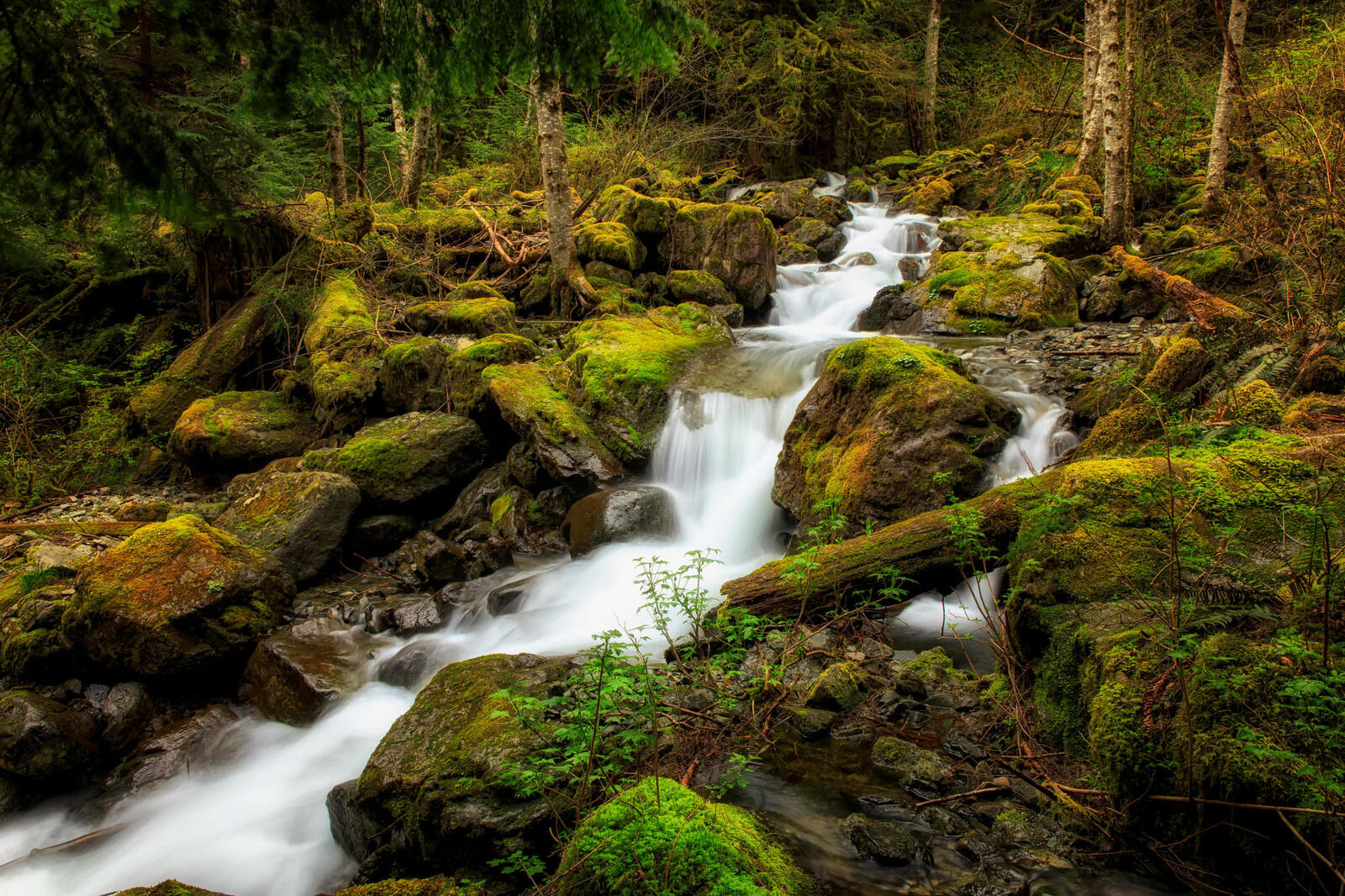 Wallpapers waterfall greens river on the desktop