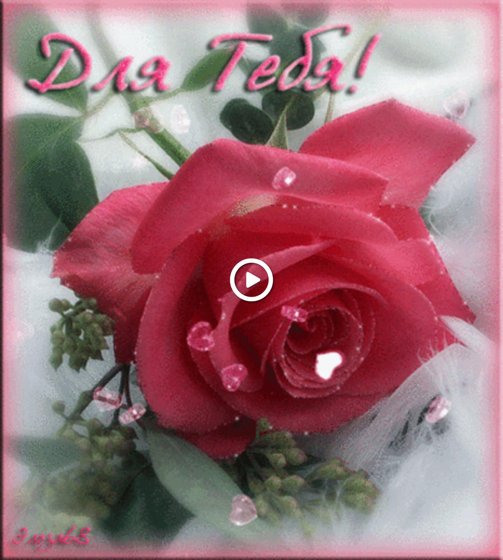 A postcard on the subject of flowers roses Elsa for free