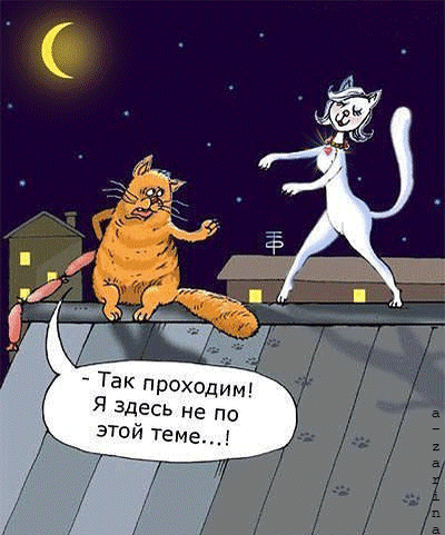 https://img1.fonwall.ru/o/hc/cat-roof-sausages-night.gif