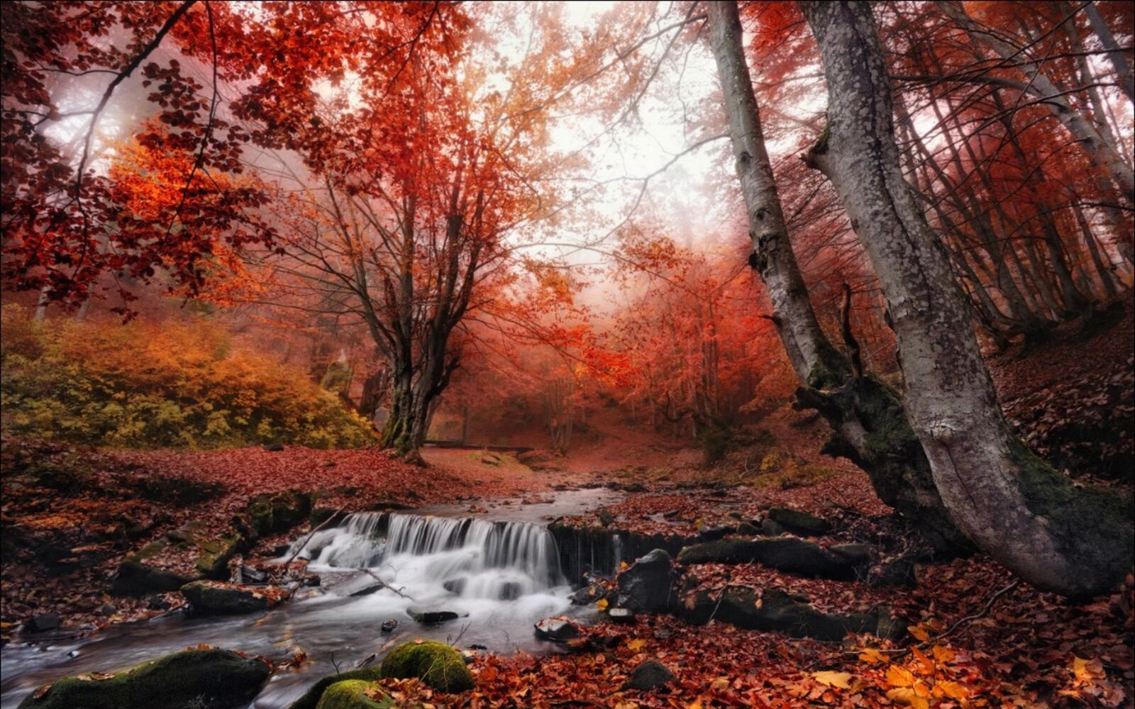 Wallpapers nature landscape autumn on the desktop