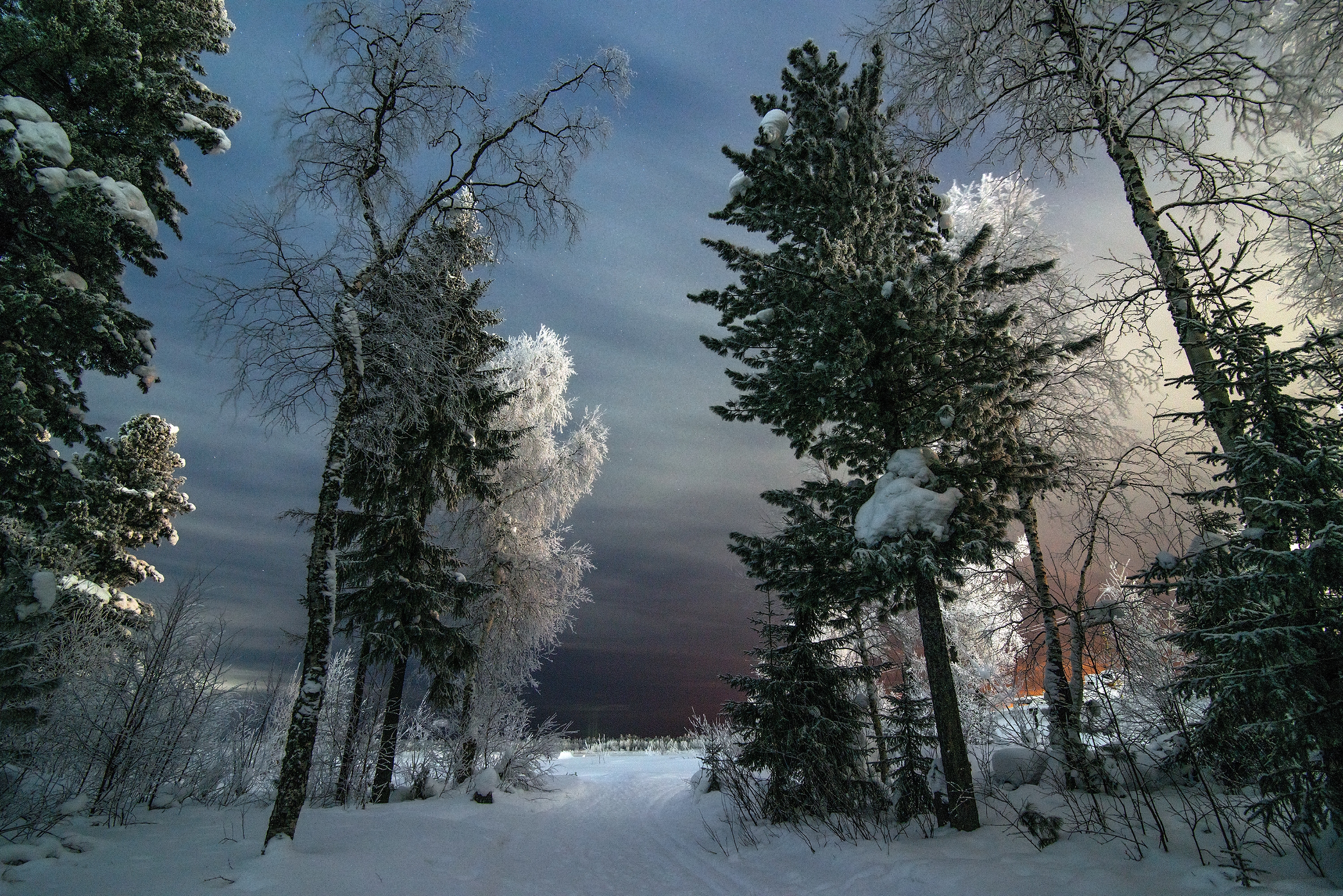Обои снег зимний лес снежная дорога на рабочий стол