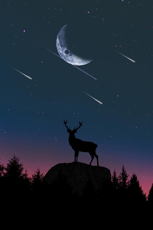 Silhouette of a deer against the night sky with shooting stars