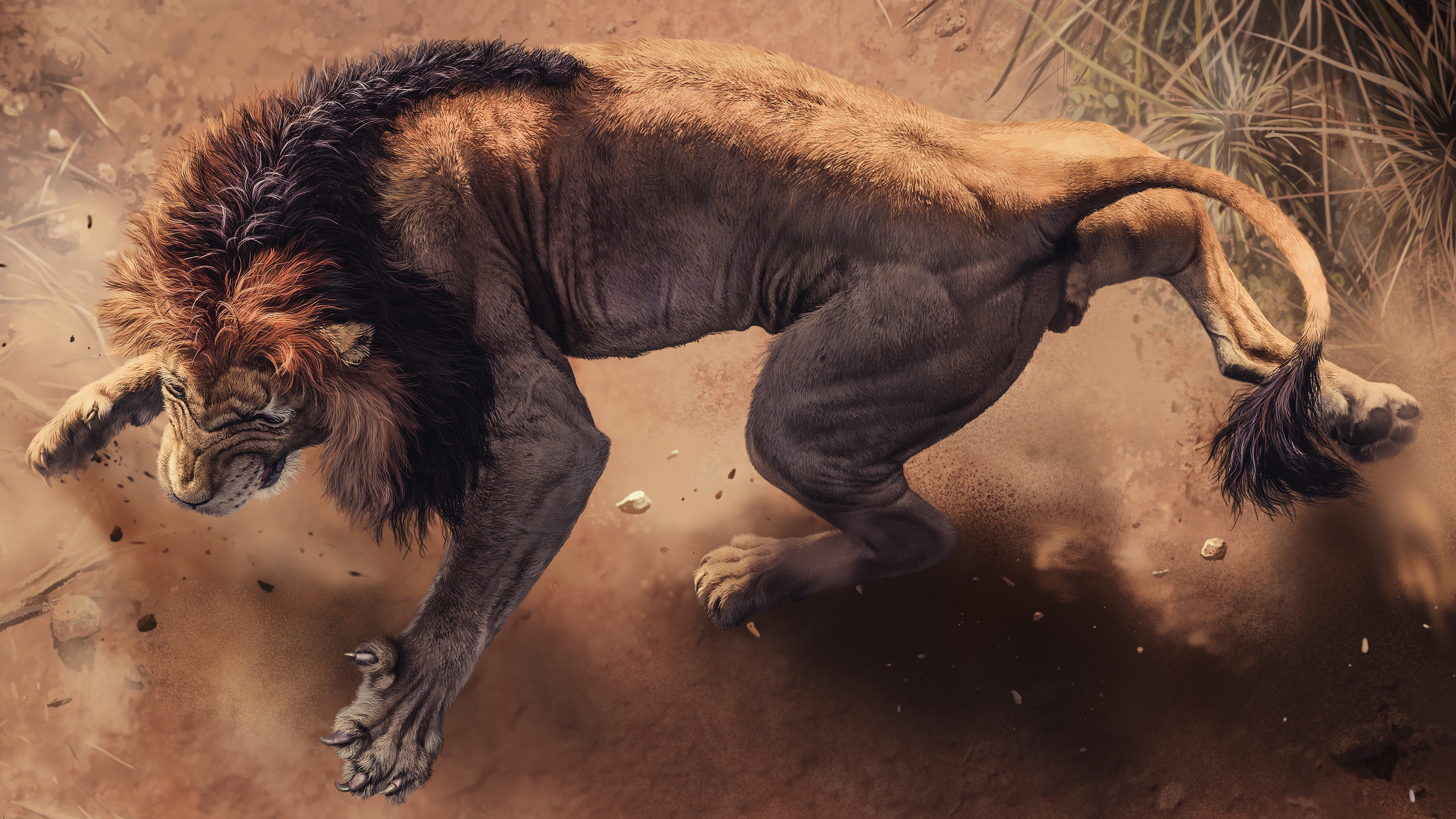 Wallpapers sand predator giant african lion on the desktop