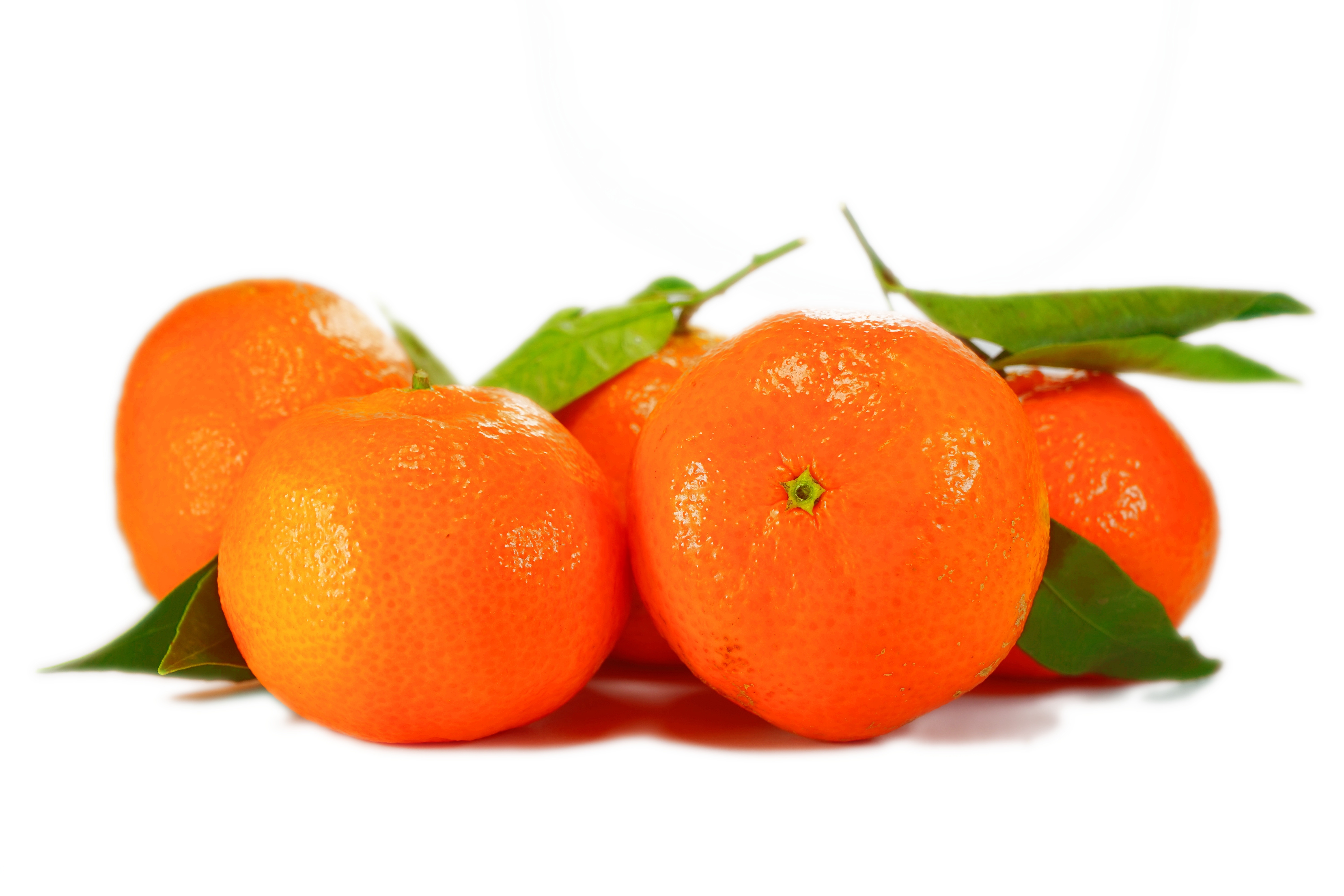 桌面上的壁纸栽种 水果 橘色