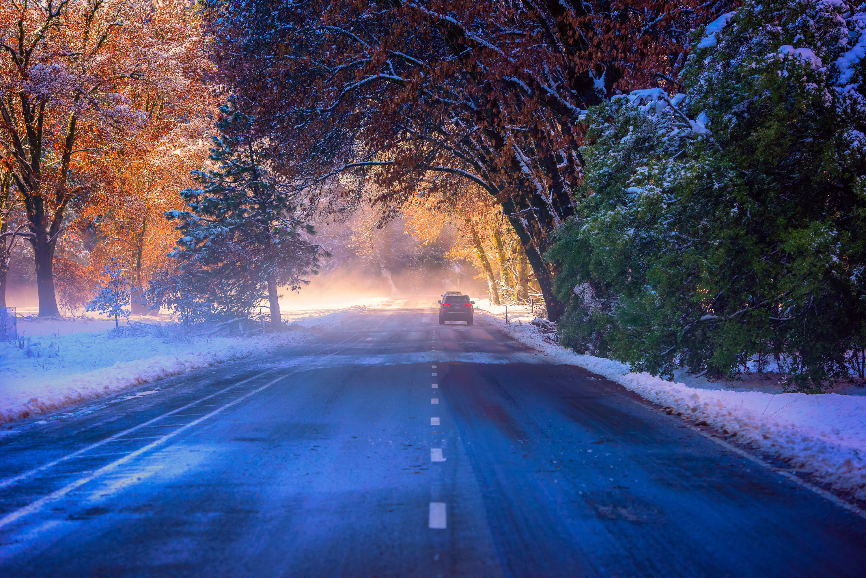 桌面上的壁纸优胜美地山谷国家公园大雾弥漫的清晨 道路 秋季