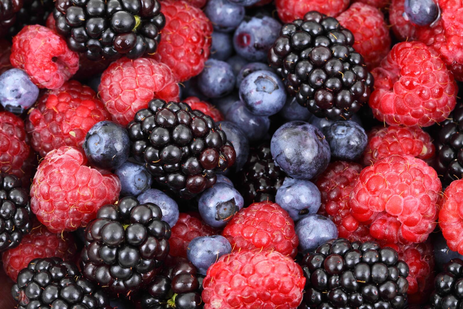 Wallpapers berries BlackBerry raspberry on the desktop