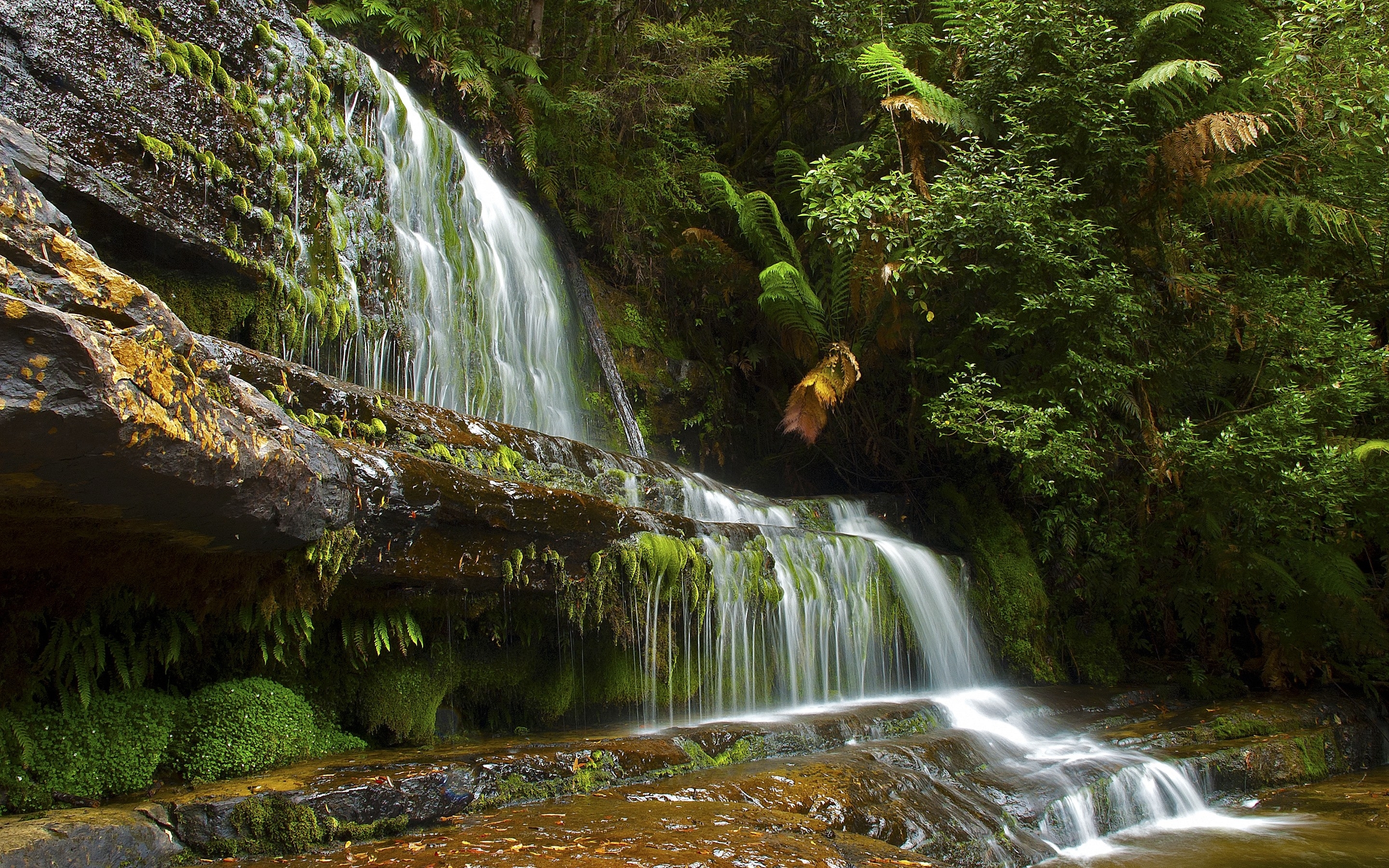 Бесплатное фото Широкий водопад в лесу