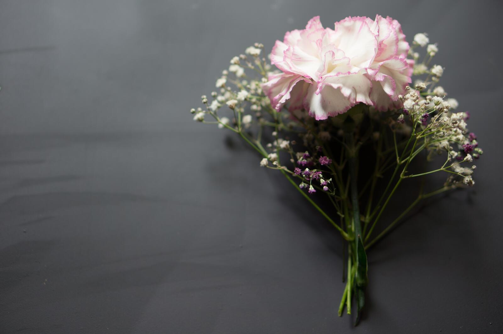 Free photo Bouquet of flowers
