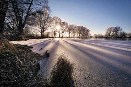 Тени от деревьев на снежном поле солнечным днем