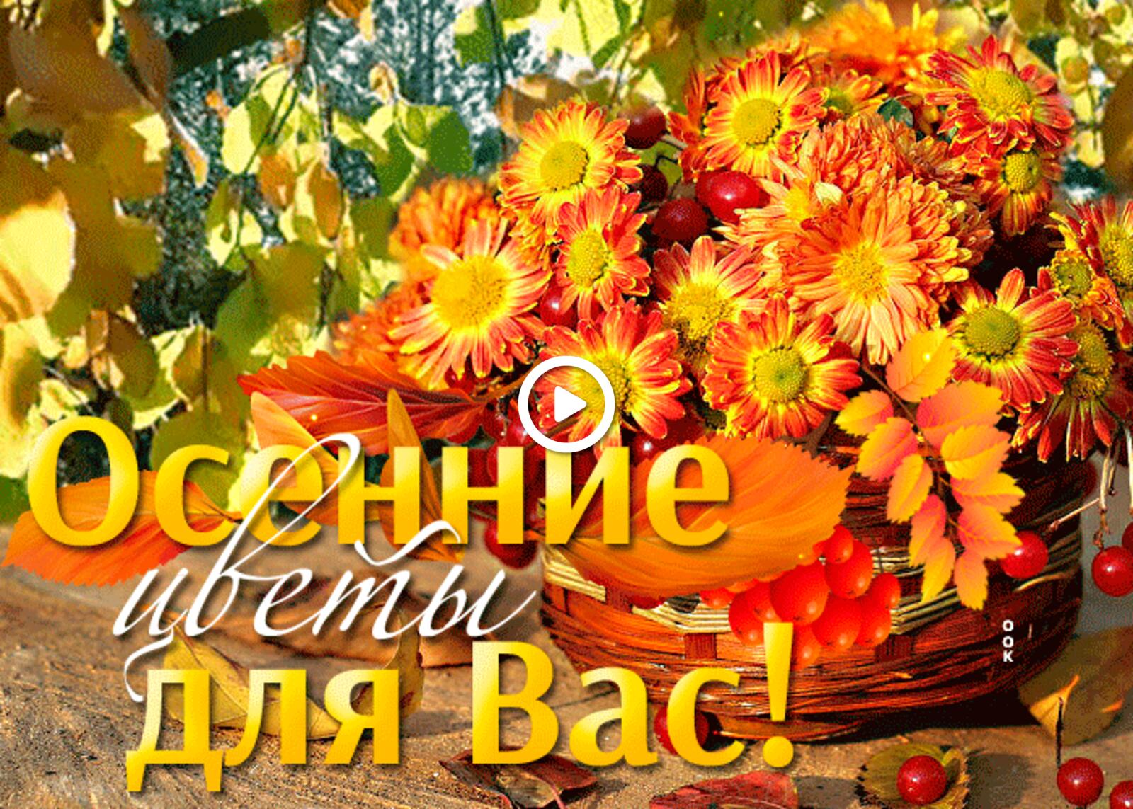 Открытка на тему осенние цветы для вас осень букет ромашек бесплатно