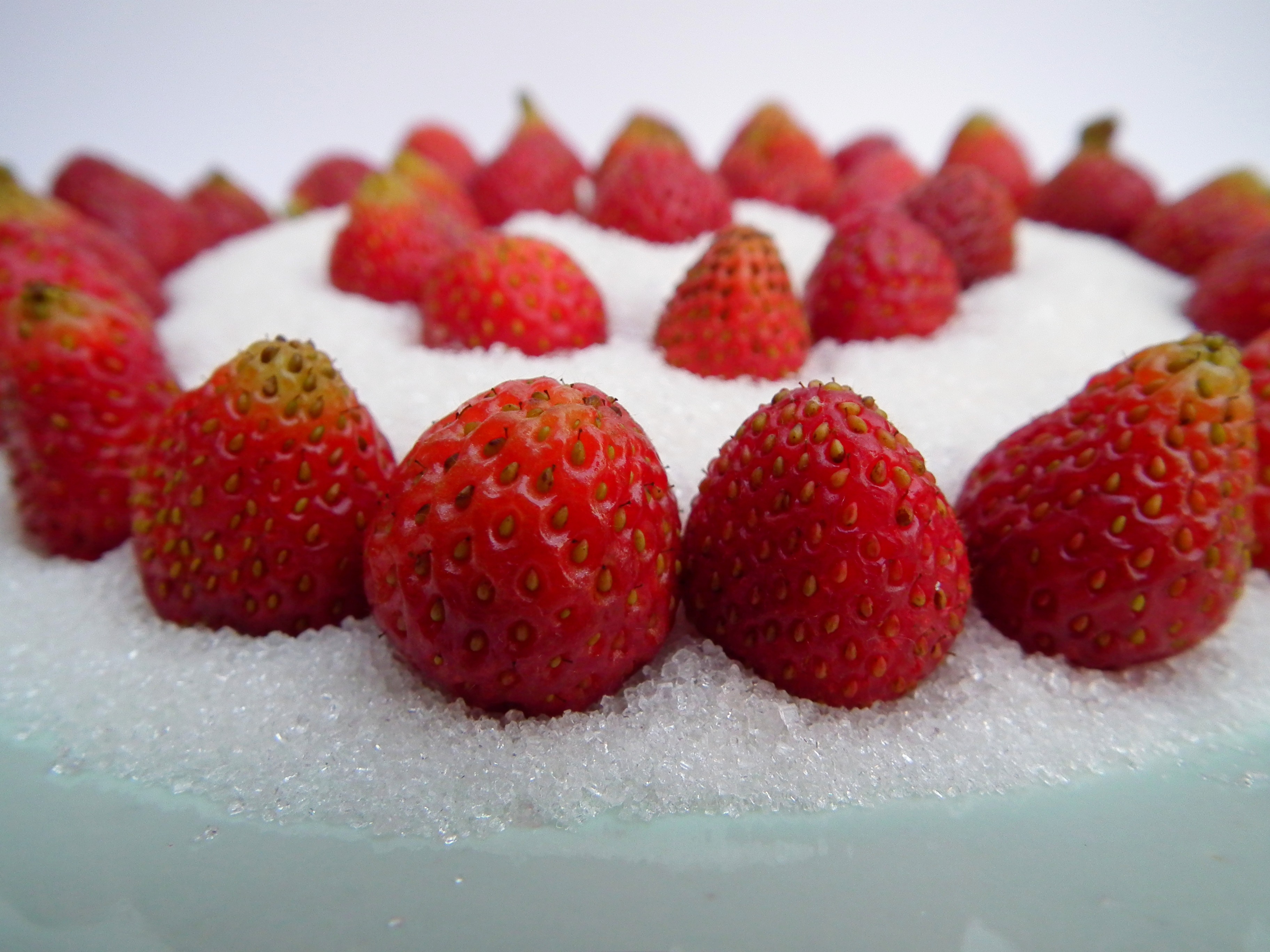 Wallpapers strawberry fruits sugar on the desktop