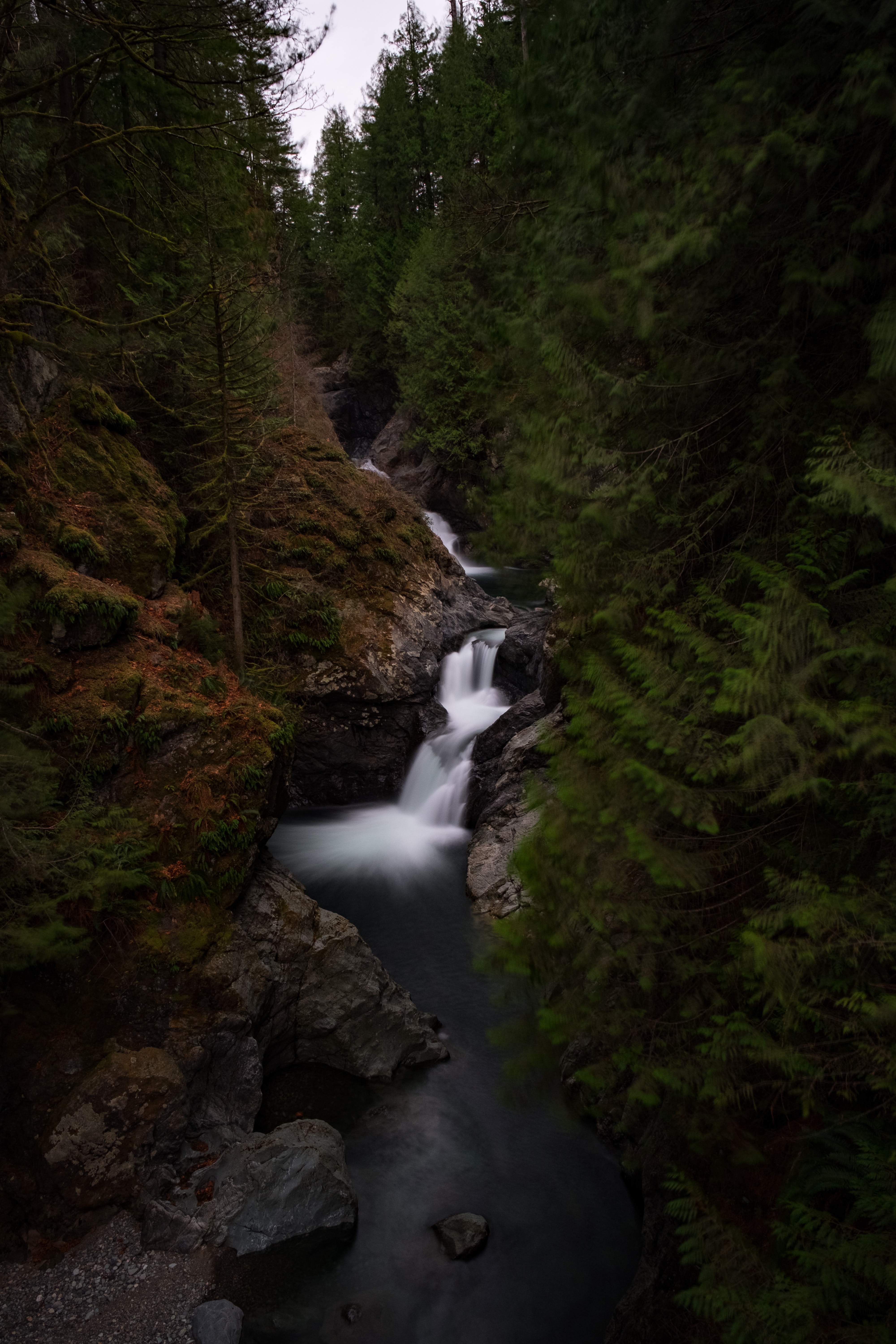 Фото бесплатно обои лес, водопад, живописный