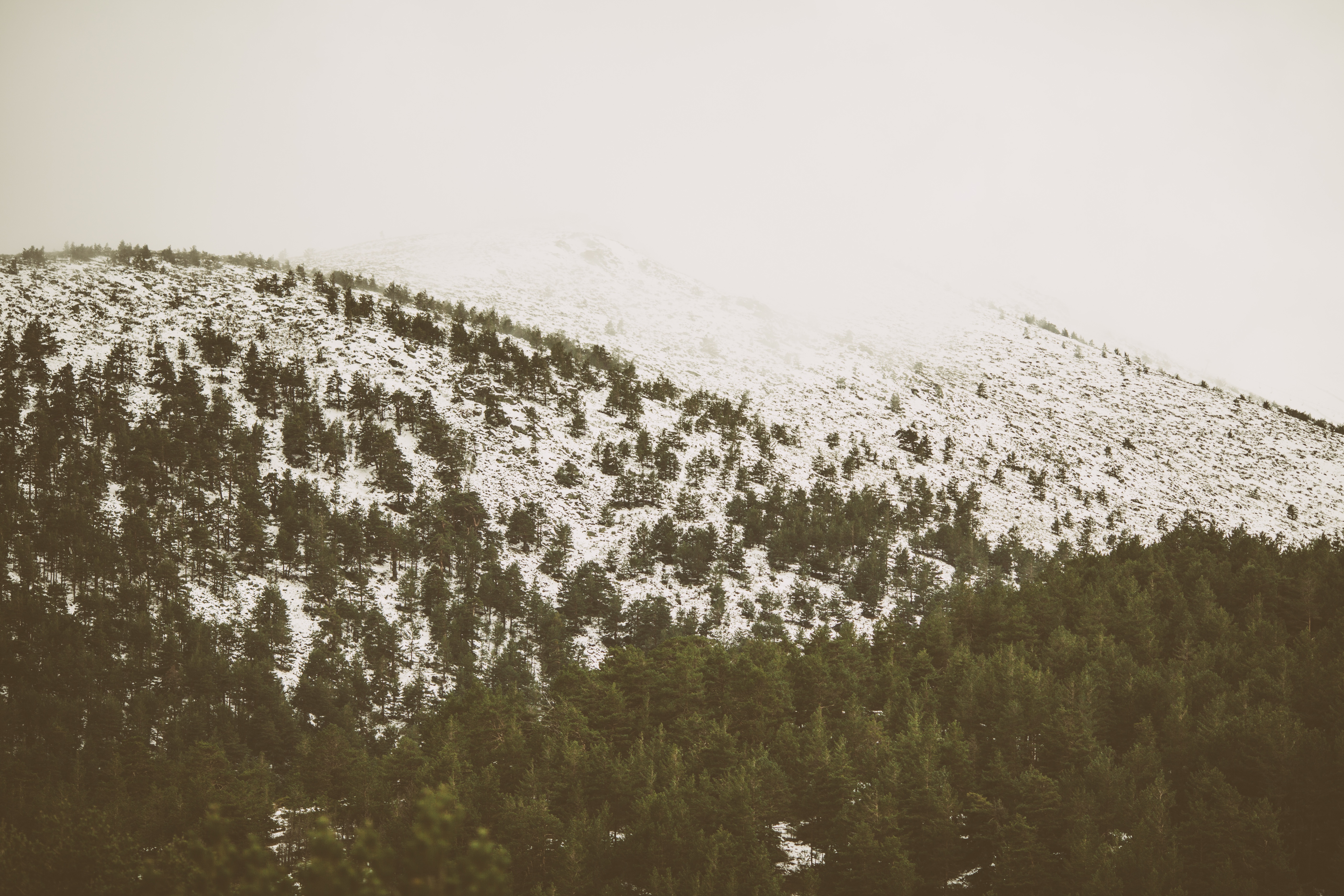 Холодные холмы. Гора Лиственная. Горы покрытые тканью.