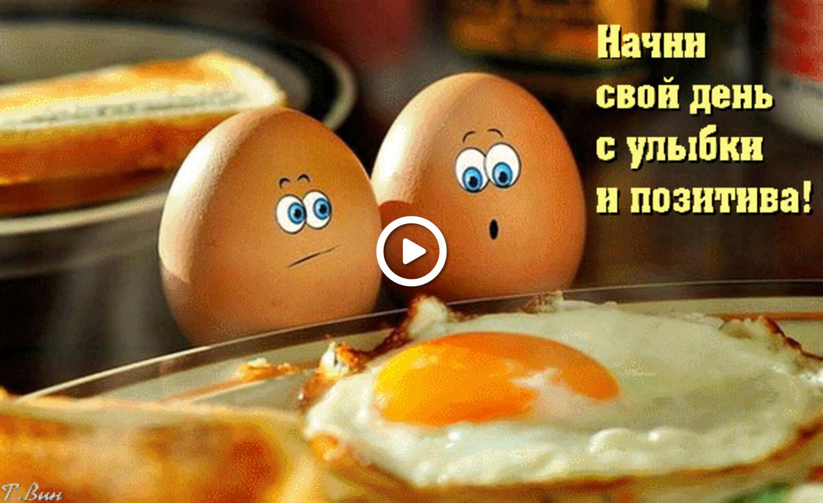 Открытка на тему утро доброе утро картинки яйца бесплатно