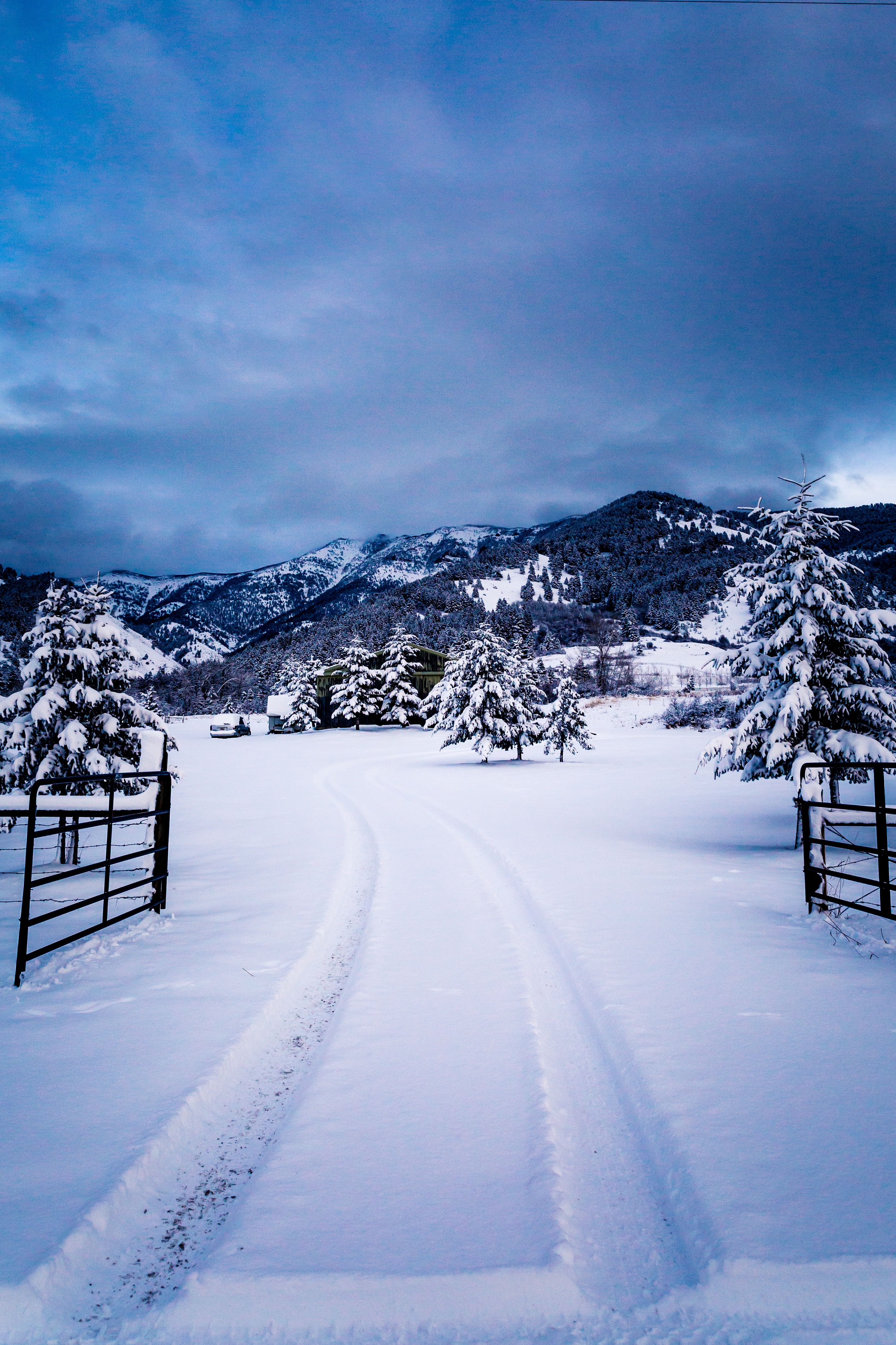 免费照片雪的道路
