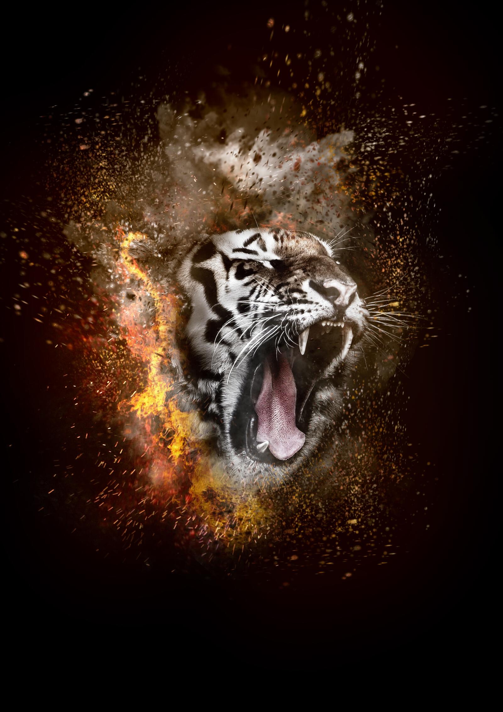 Бесплатное фото Оскал тигра