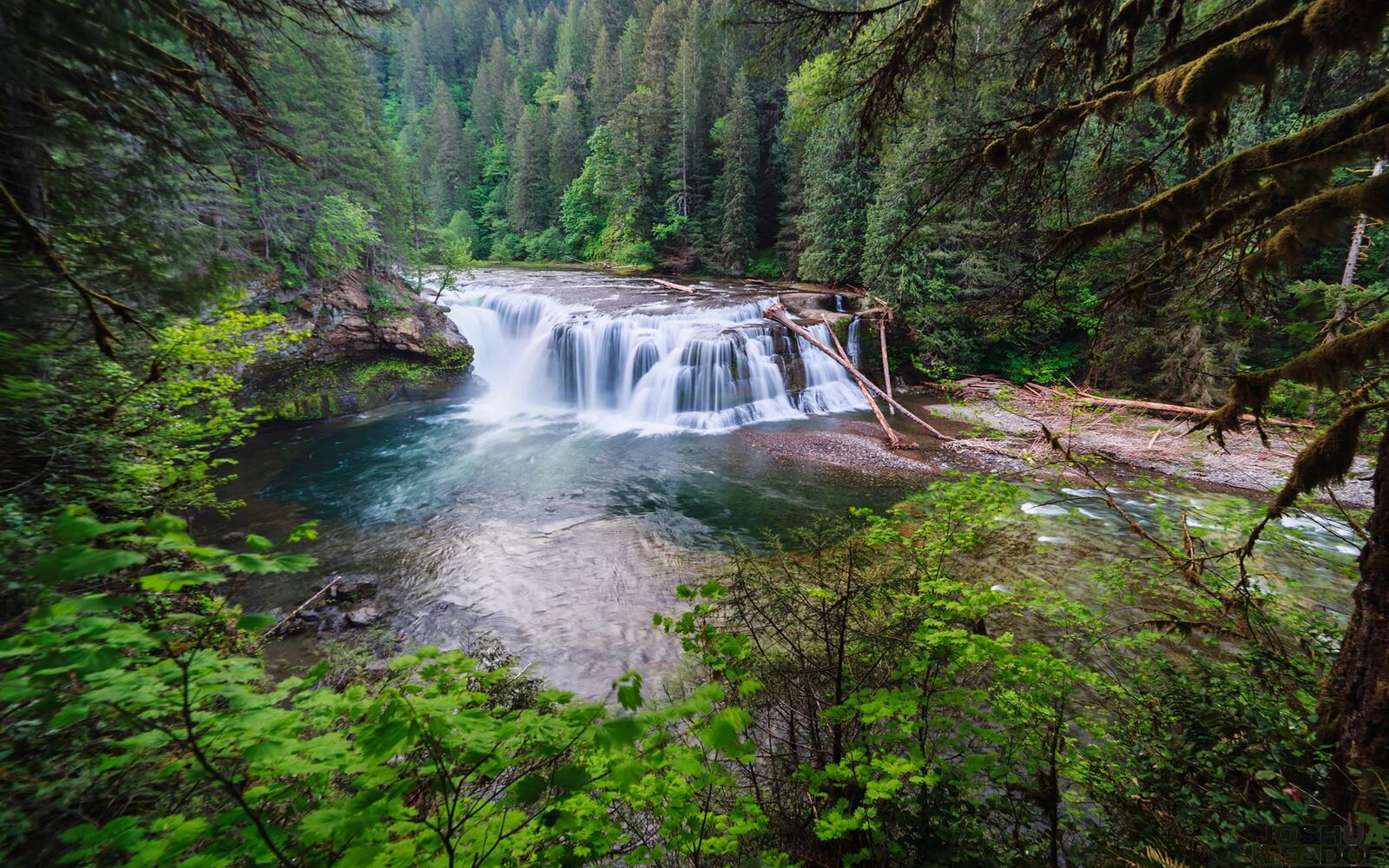 Free photo River with a waterfall in a coniferous forest