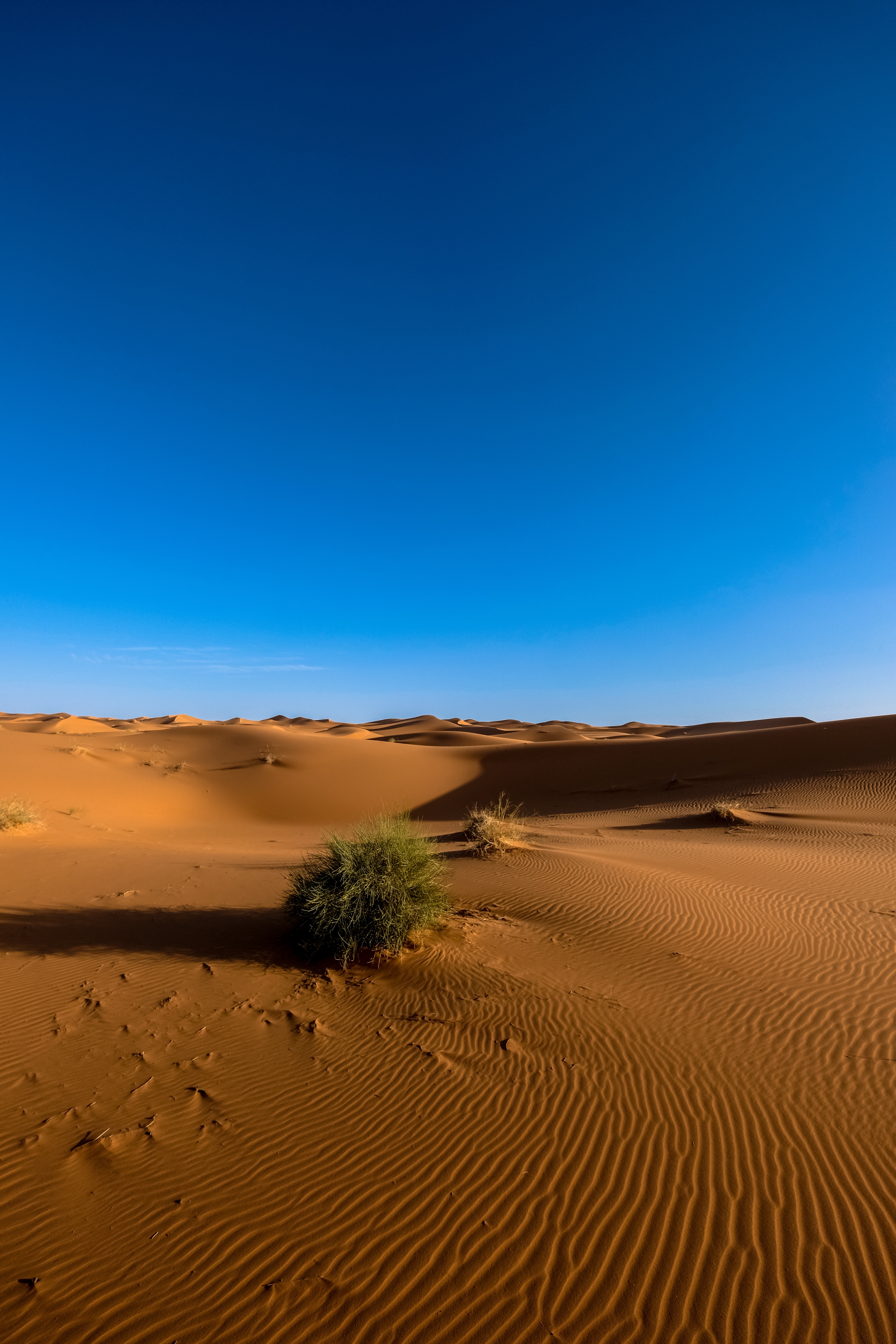 Фото бесплатно чистое небо, песок, пустыня сахара