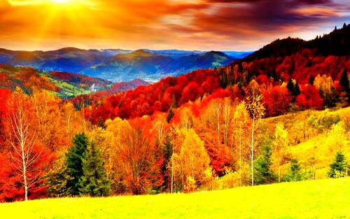 Красочный осенний лес