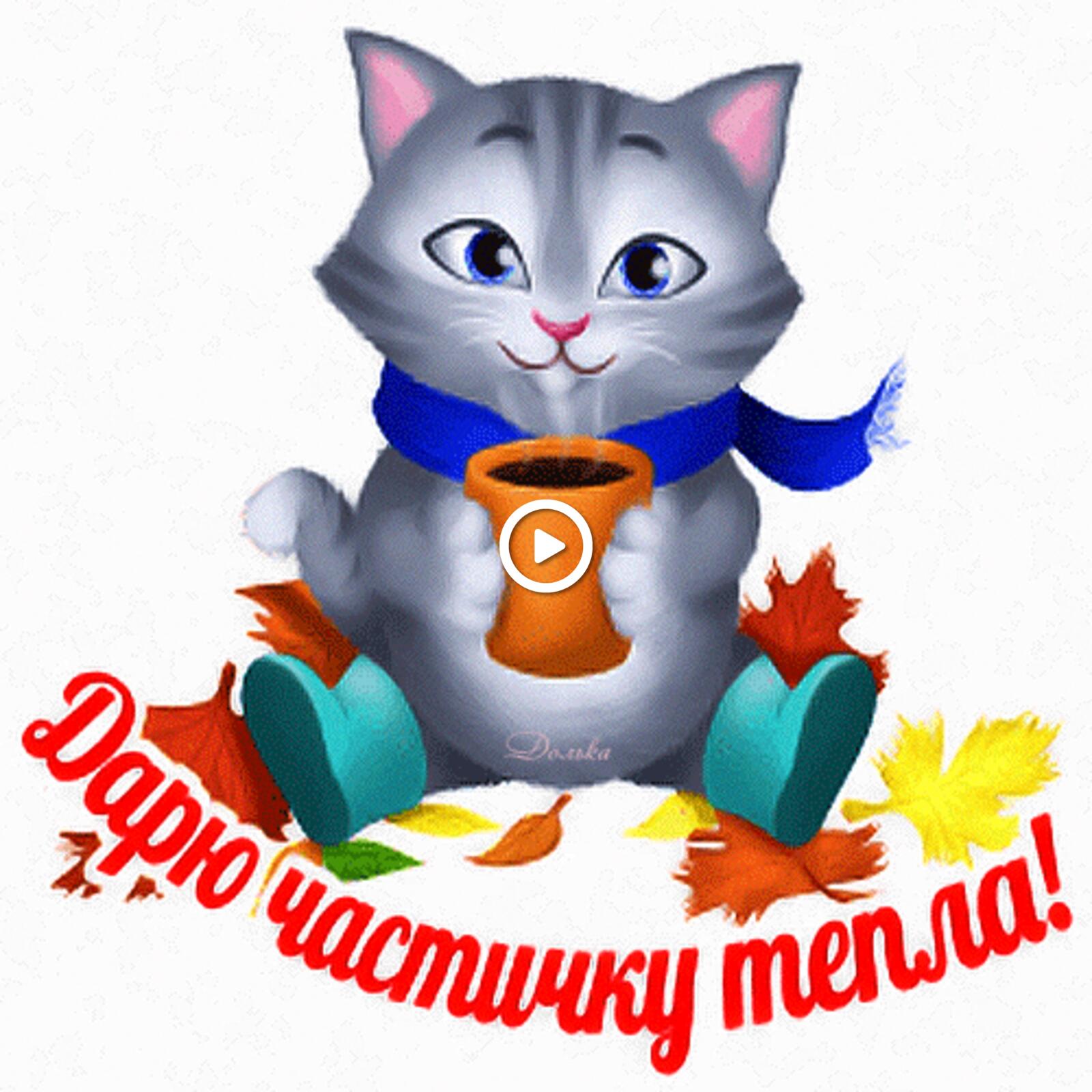 一张以我给你一片温暖 猫咪 秋季为主题的明信片