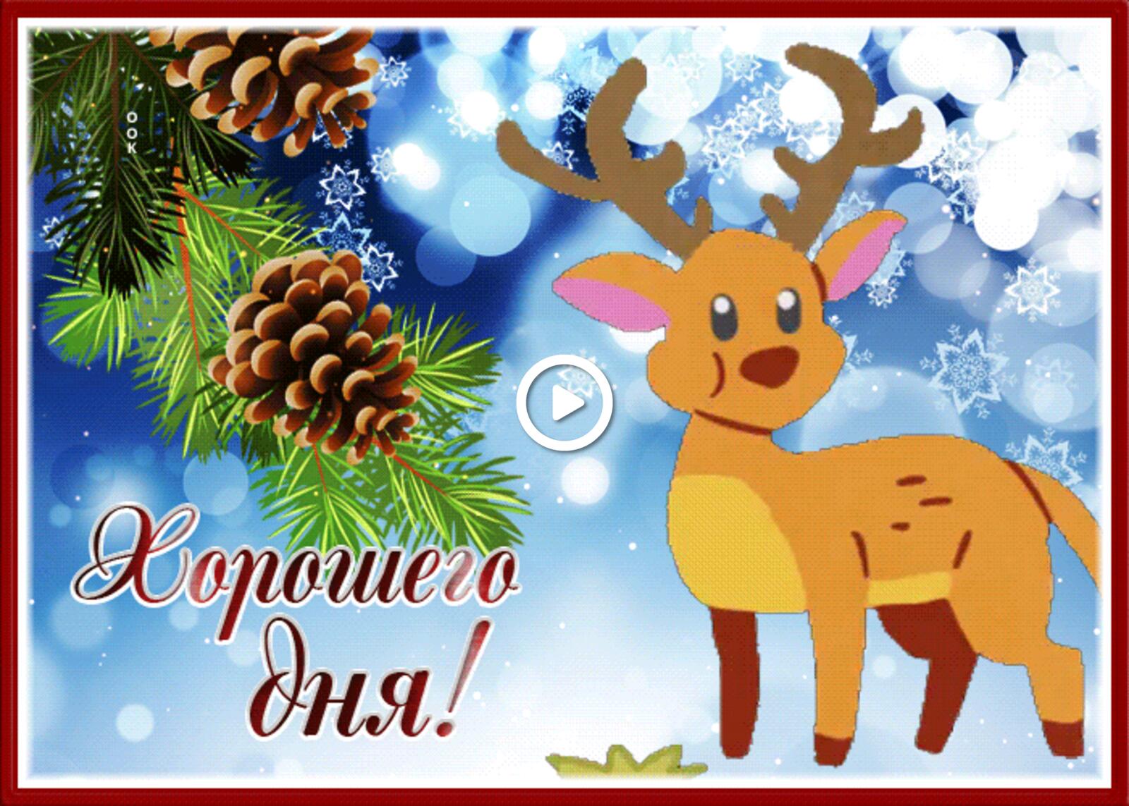 A postcard on the subject of beautiful good day with the reindeer deer have a nice day for free