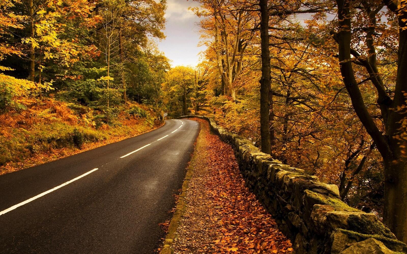 Wallpapers road roadside autumn on the desktop