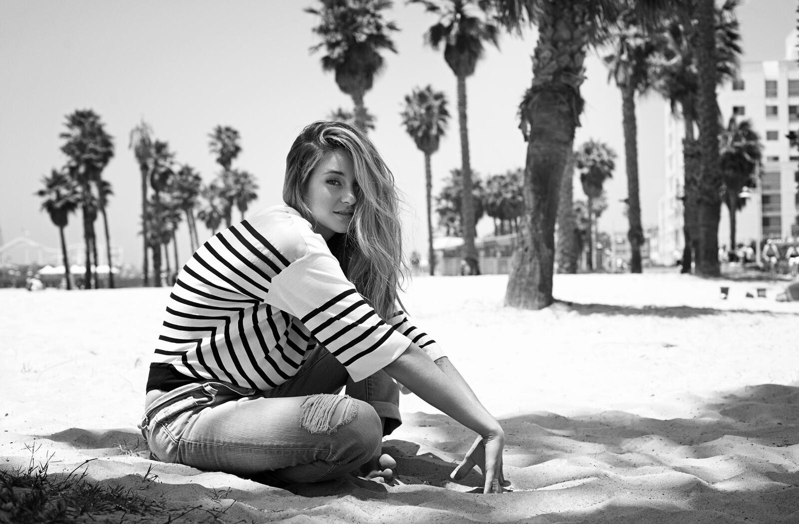 Wallpapers Shailene Woodley actress black and white on the desktop