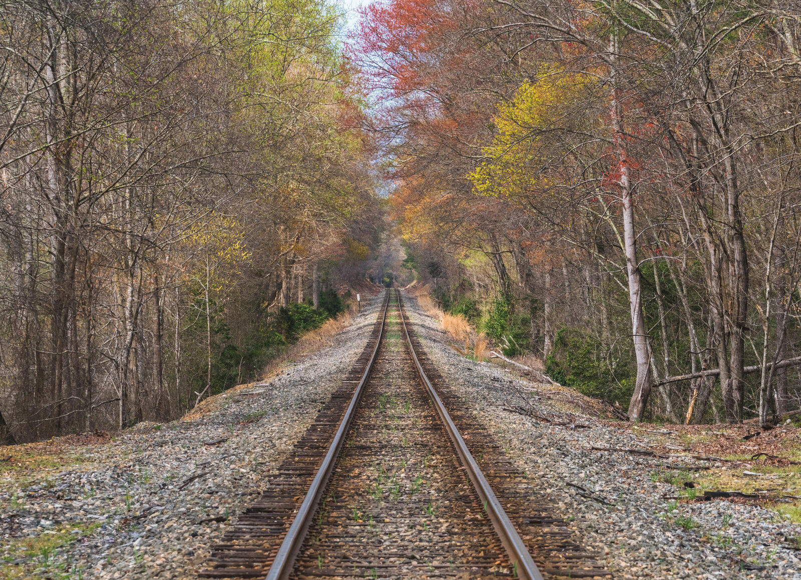 Обои осень железная дорога лес на рабочий стол