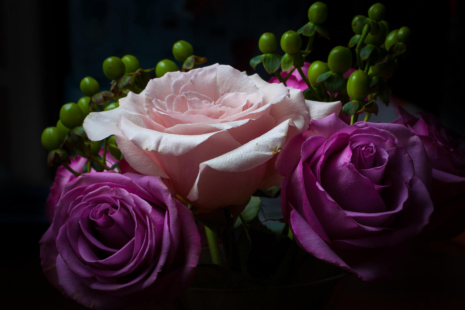 Обои роза розы розовые цветы на рабочий стол