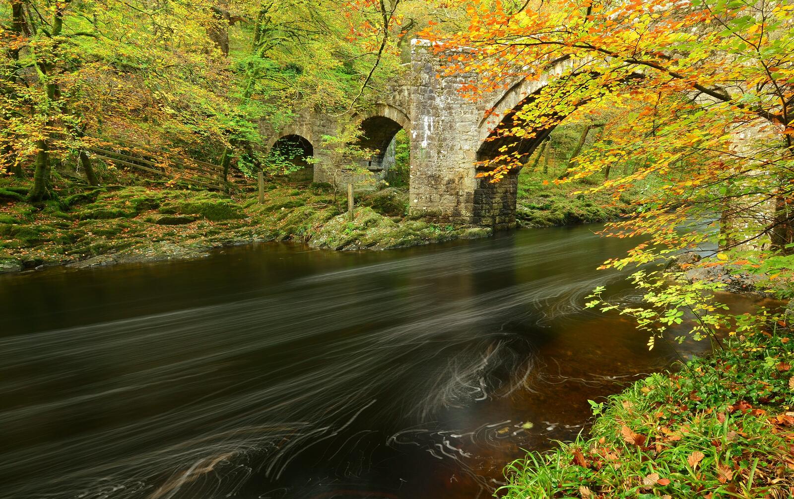免费照片秋天的图片，手机上的桥